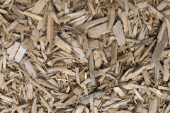 biomass boilers Appleby Parva