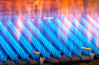 Appleby Parva gas fired boilers